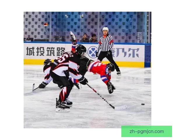 冰球热爱者的乐园：探寻北极之冰球执手共绘畅游岁月