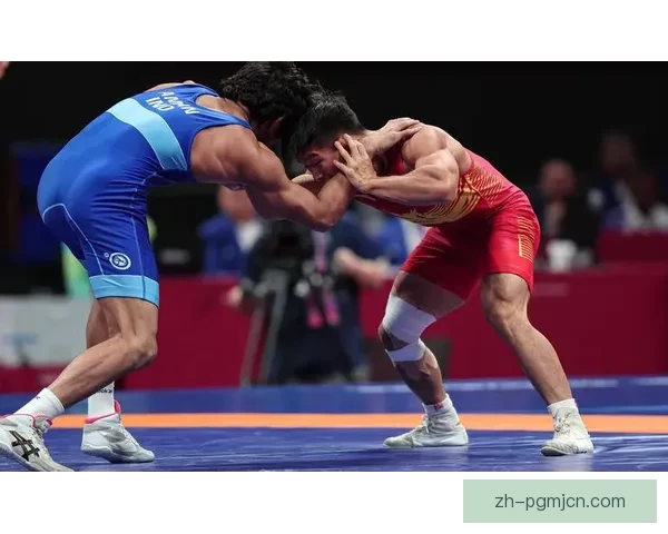 自由式摔跤：挑战激情，斗技风云