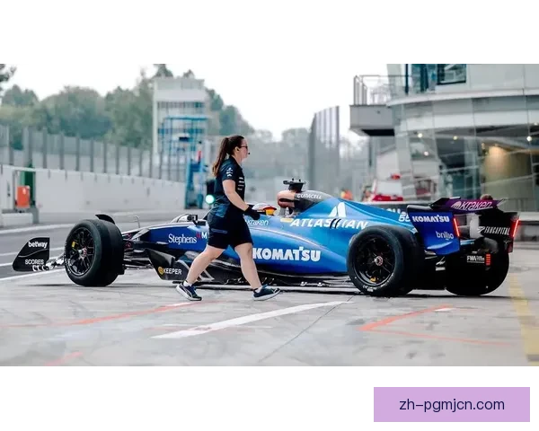 F1赛事新规与车手表现分析