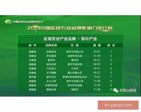 乒乓球排名的关键因素及其影响因素分析