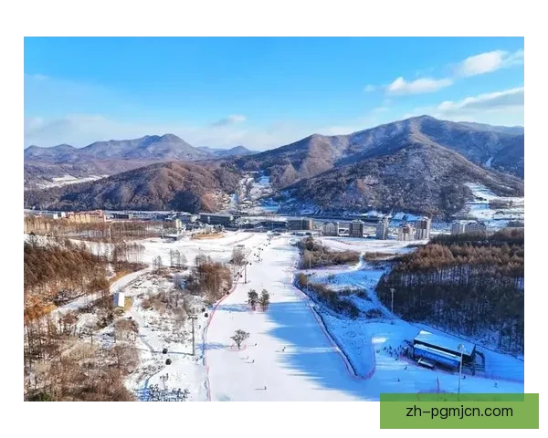 冰雪飘飞，技艺盘点：滑雪盘口分析