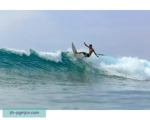 学会冲浪：初学者完整入门指南