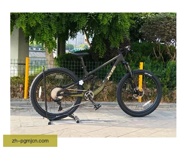 山地车直播：骑行风景，激情无限