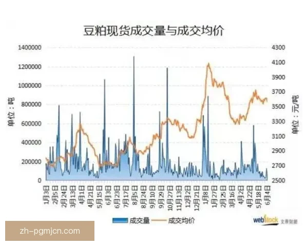 探讨体操盘口分析的关键因素
