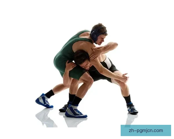 摔跤规则探究：技术、策略与挑战