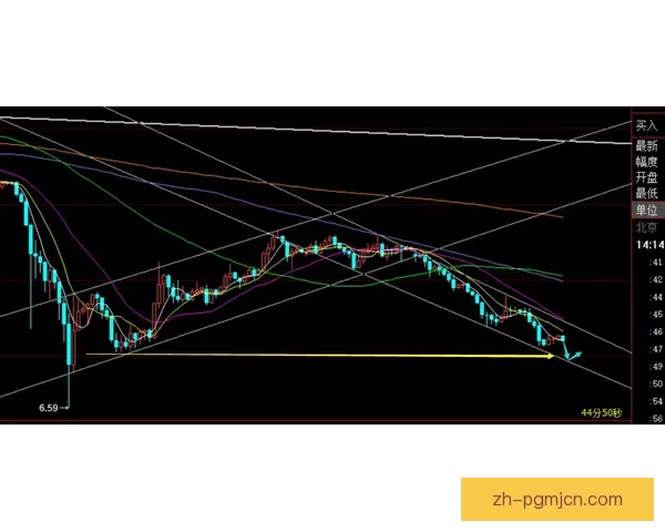 柔道盘口分析：技巧与策略解析
