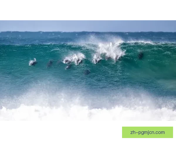 海浪之巅:挑战冲浪极限赛 海浪之巅:挑战冲浪极限赛