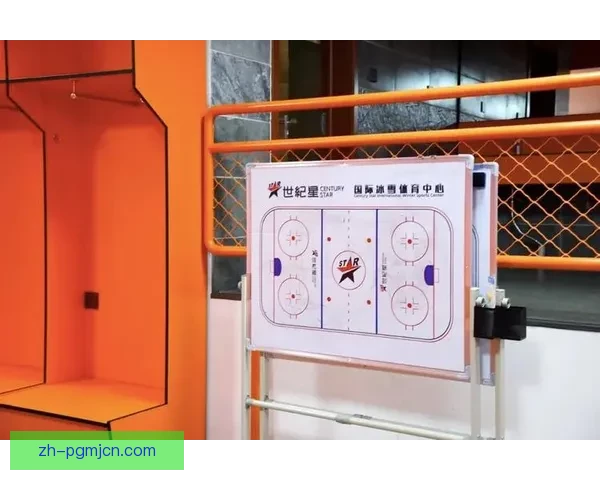 滑冰盘口分析:技术分数背后的战术洞察 滑冰盘口分析:技术分数背后的战术洞察