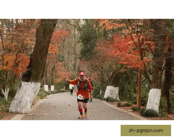 穿越山林：越野跑赛事精彩回放