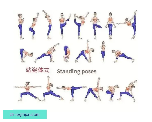 瑜伽初学者的完整入门指南 瑜伽初学者的完整入门指南