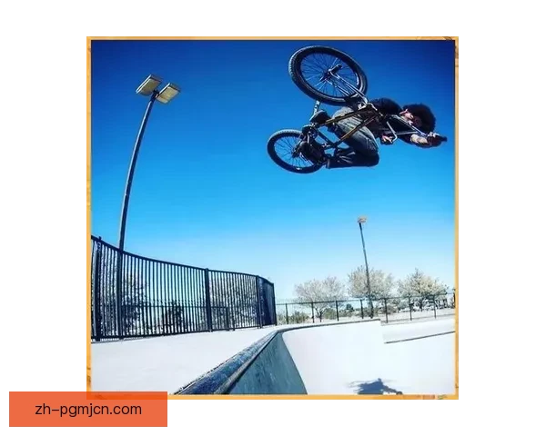 自行车世界纪录挑战:速度与极限的完美融合 自行车世界纪录挑战:速度与极限的完美融合